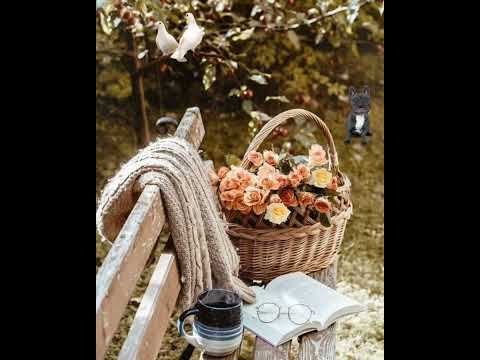 Hello everyone Someone you love Performed By:Lola Astanova