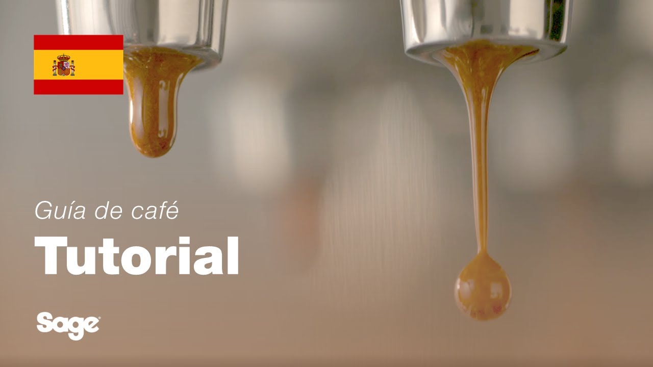 Tutorial de guía de café de Breville - Equilibrar la extracción