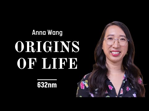 Origins of Life | Anna Wang on Artificial Cells and Nano-Robots