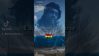 peter tosh cold blood #reggaemusic #reggaeton #reggaesong #petertosh