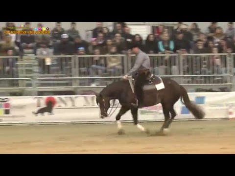 BERNARD FONCK- WHAT A WAVE - STEVE AND GINA VANNIETVELT