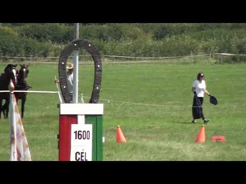 Kettes fogatoka akadányhajtása Koncseg Gábor emlékverseny Orosháza Bogárzó 2020.08.20.