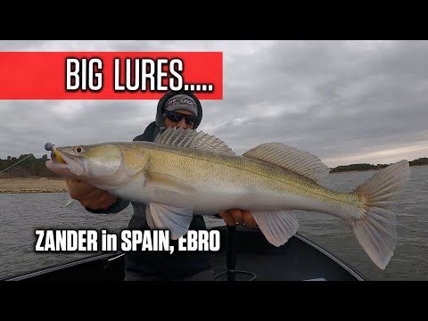 Jigging la SALAU, intre CIOCAN si NALUCI XL. Pescuit in SPANIA