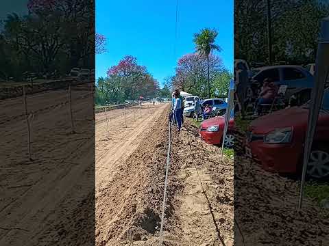 Palmar grande, Corrientes 27/08/23