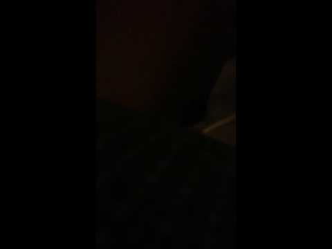 4/28/14 - Fast & Furious / Film LA Low Filming IMG 0477