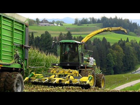 Maishäckseln extrem 🌽 Boden zu nass | Hirschrudel gibt Vollgas | Aebi TP 470 