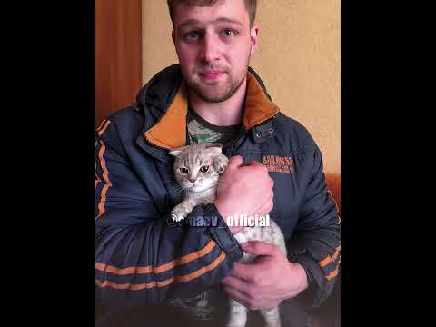 My 10 year transformation. Follow for more Content! #gym #andreysmaev #gymmotivation #bodybuilding