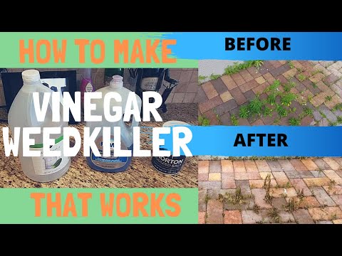 DIY Homemade Weed Killer – How to Make Vinegar Weed Killer That Works