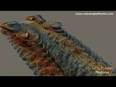 AirCar Forward Flight CFD