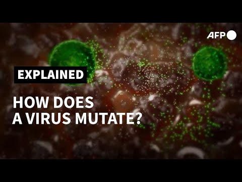 How does a virus mutate? | AFP