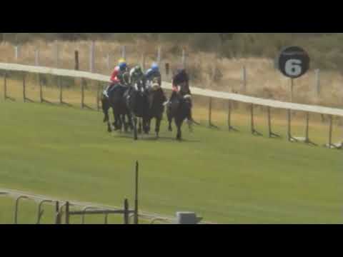 GIMME DAT - 2021 Kenilworth Fillies Nursery (Grade 3)