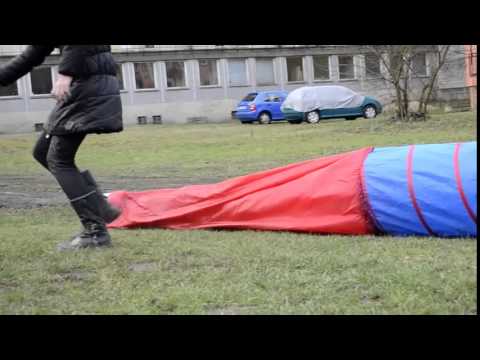 Mini trénink Agility - 25.1.2015