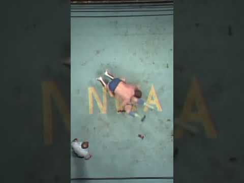 Ric Flair vs Harley Race Starrcade 1983