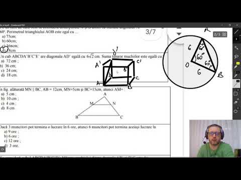 Test Simulare Evaluare Nationala 2021