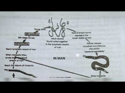 Inter 2nd year SYNAPTIC TRANSMISSION ZOOLOGY