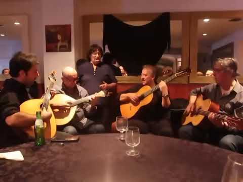 Manuela Cavaco - O malmequer pequenino