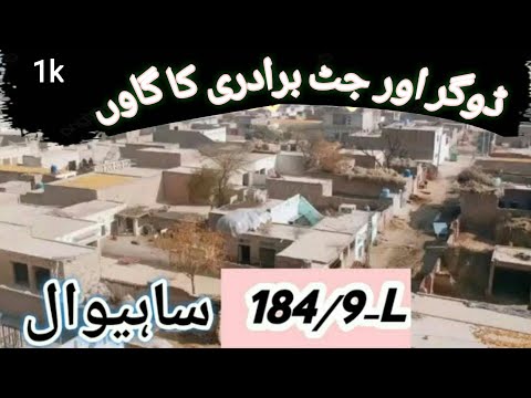 chak no 184/9-L sahiwal Harappa station|M.D vlogs 84/#sahiwal#pakistan #Mujahid Dogar #pindawale