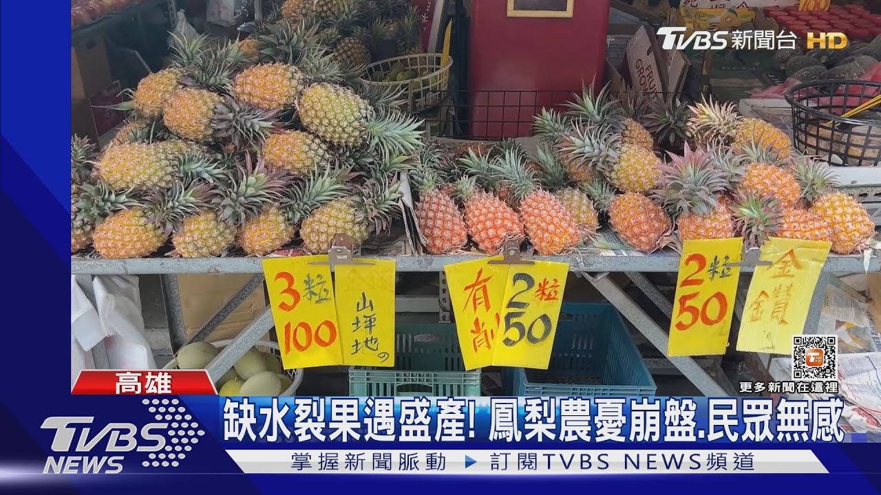 缺水裂果遇5年產量新高！ 鳳梨農憂崩盤 　官員：已啟動收購