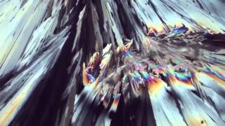 Yeasayer - Glass of the Microscope