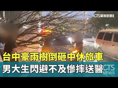 台中豪雨樹倒砸中休旅車　男大生閃避不及慘摔送醫