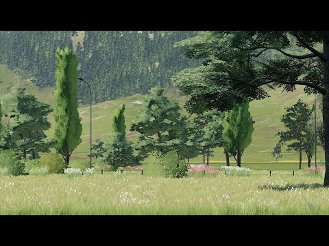 Neues Projekt || LS19 Team Projekt || von 0 zum Hof #001