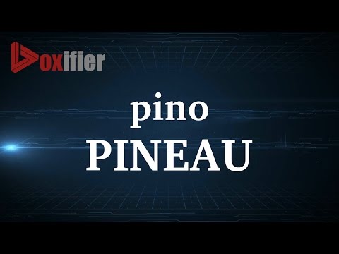 How to Pronunce Pineau in French - Voxifier.com