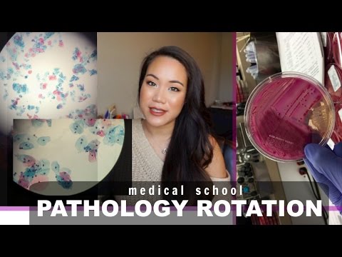 Medical School | Pathology Rotation Video