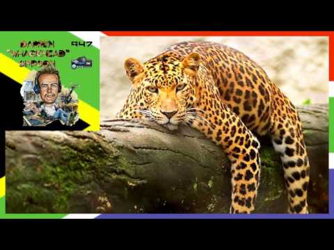 Whackhead Simpson - Get Your Leopard Off My Tree