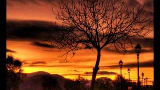 Dreadful Shadows - Dusk