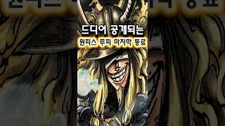 원피스 루피의 마지막 동료가 공개됩니다.