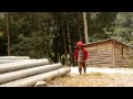 Tooth Fairy - Short Film 