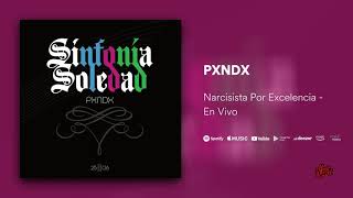 PXNDX - Narcisista Por Excelencia En Vivo (Audio Oficial)
