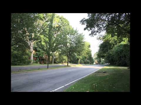 Charming 1ST Floor Gold Coast Apartment