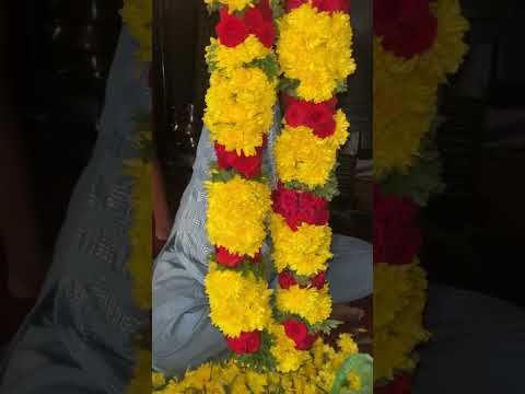 Different of colourful flowers #shortvideo #vlog #flowers