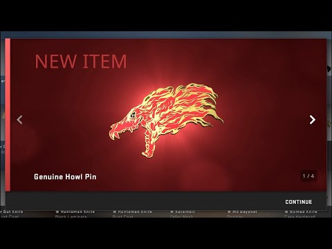 Every CS:GO Skin I bought in 2022