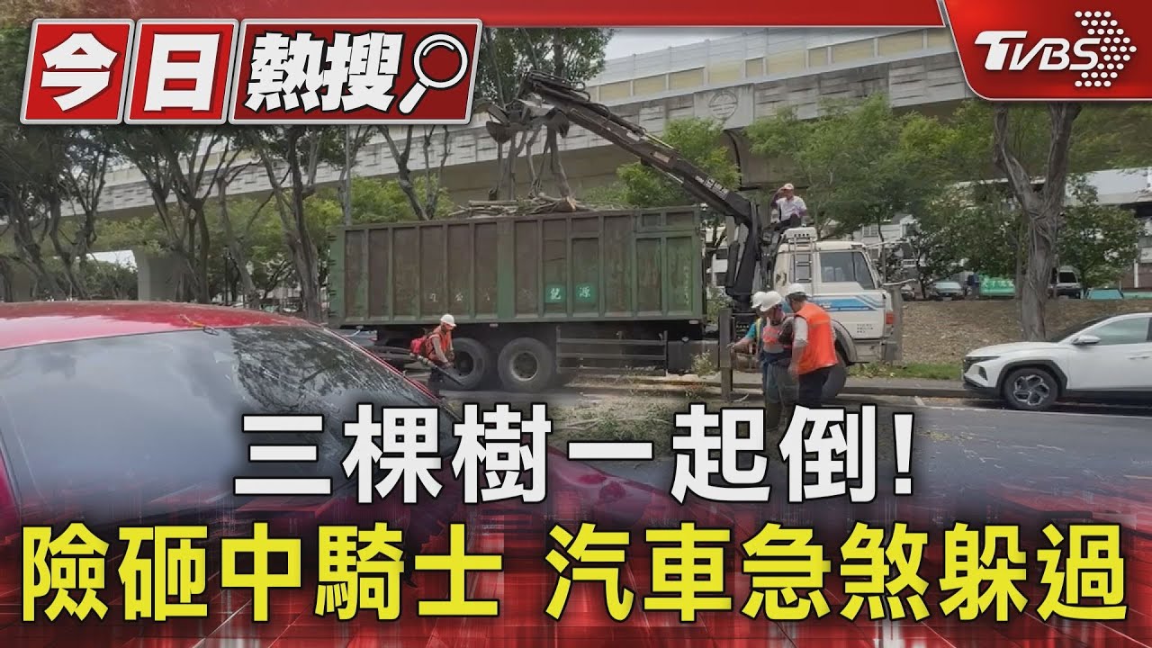 三棵樹一起倒!險砸中騎士 汽車急煞躲過