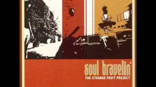 Strange Fruit Project - Recreate