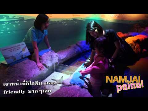 คลิกเพื่อดูคลิปวิดีโอ