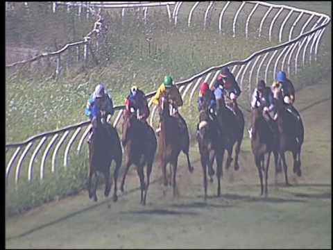 Galoppo 20/08/2016 - 5° corsa