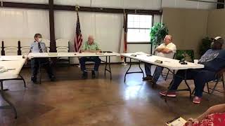 August 14, 2020 Special City Council Meeting
