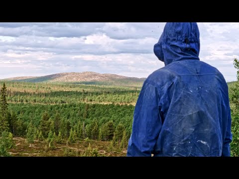 Keskiyön auringon alla - Vaellus Hammastunturin erämaassa kesällä 2022