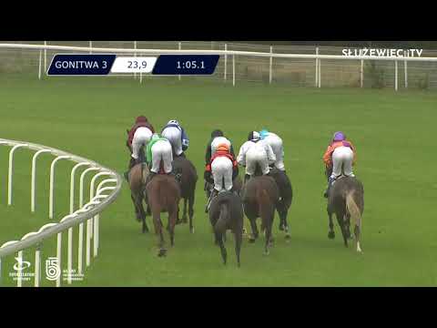 03.07.2021 (D19; G3; Tor: 3.4; 22°C) Nagroda Borka - Wathba Stallions Cup