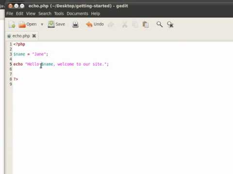 Php Tutorial Using The Echo Statement For Beginners
