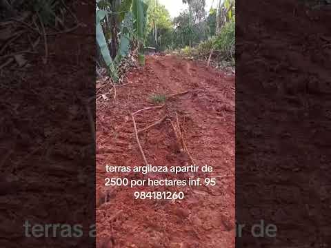 cidade de Amajari vila Trairão sao 4.300 hectares por 10 milhões interessado 95 984181260
