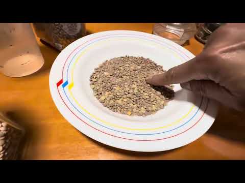 Cómo calcular la lenteja por persona - Los Tips y Trucos de Joselo