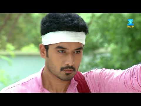 Gruhapravesam - Telugu Tv Serial - Best Scene - 65 - Niprupam Parital, Jayalalitha - Zee Telugu