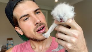 RARE Gender Reveal Of My New Rescue Kittens!