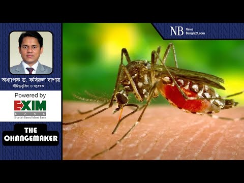 সব এডিসের কামড়েই ডেঙ্গু হয় না