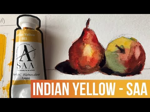 Indian Yellow - SAA Watercolor Paints | The Paint Show 38