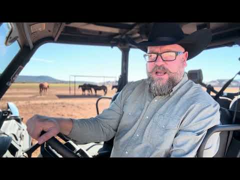 Director’s 2025 Year End Update!